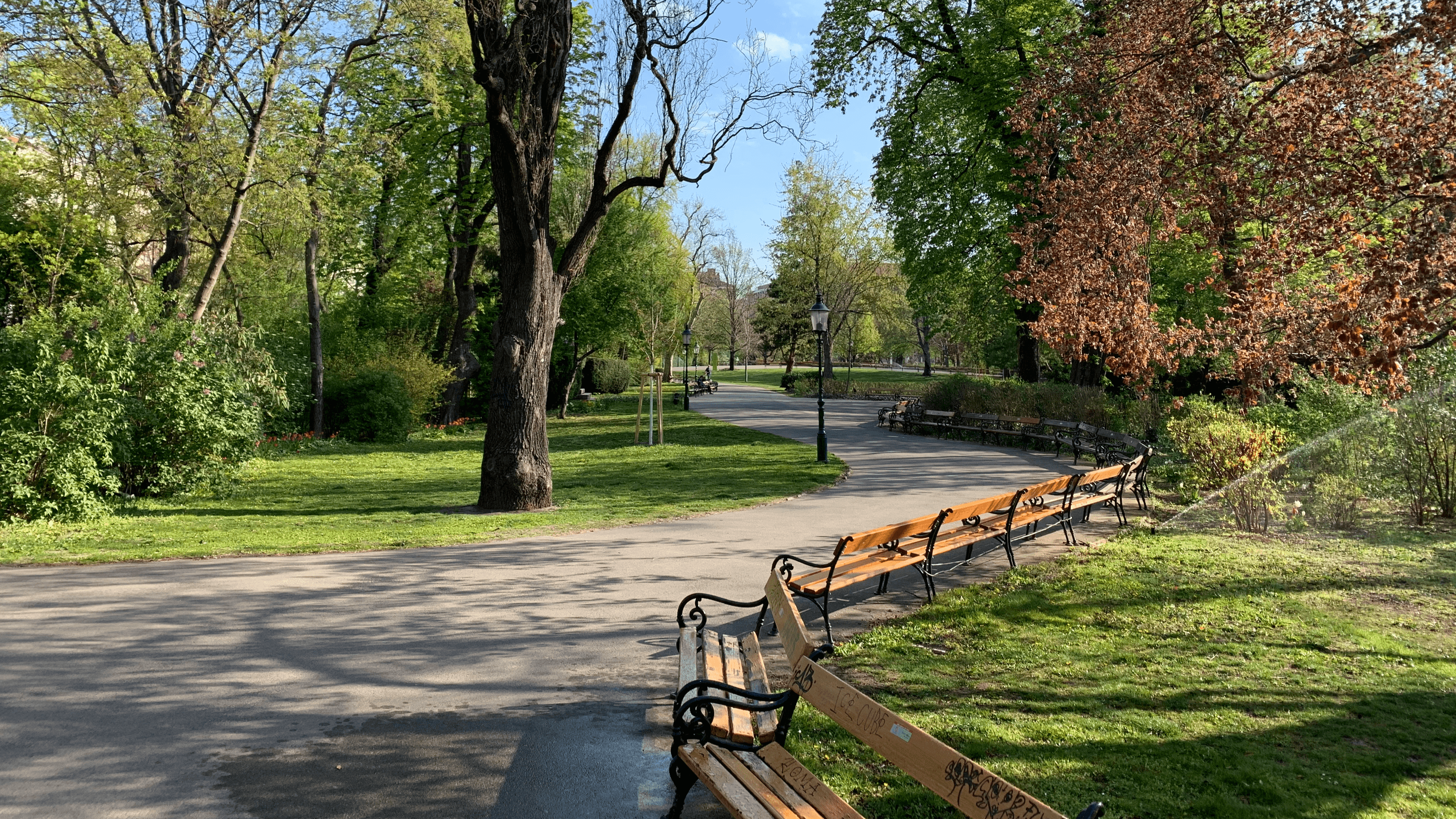 Dr. in Marijana Stoisits Geschäftsführerin +43 1 4000 87000 stoisits@viennafilmcommission.at