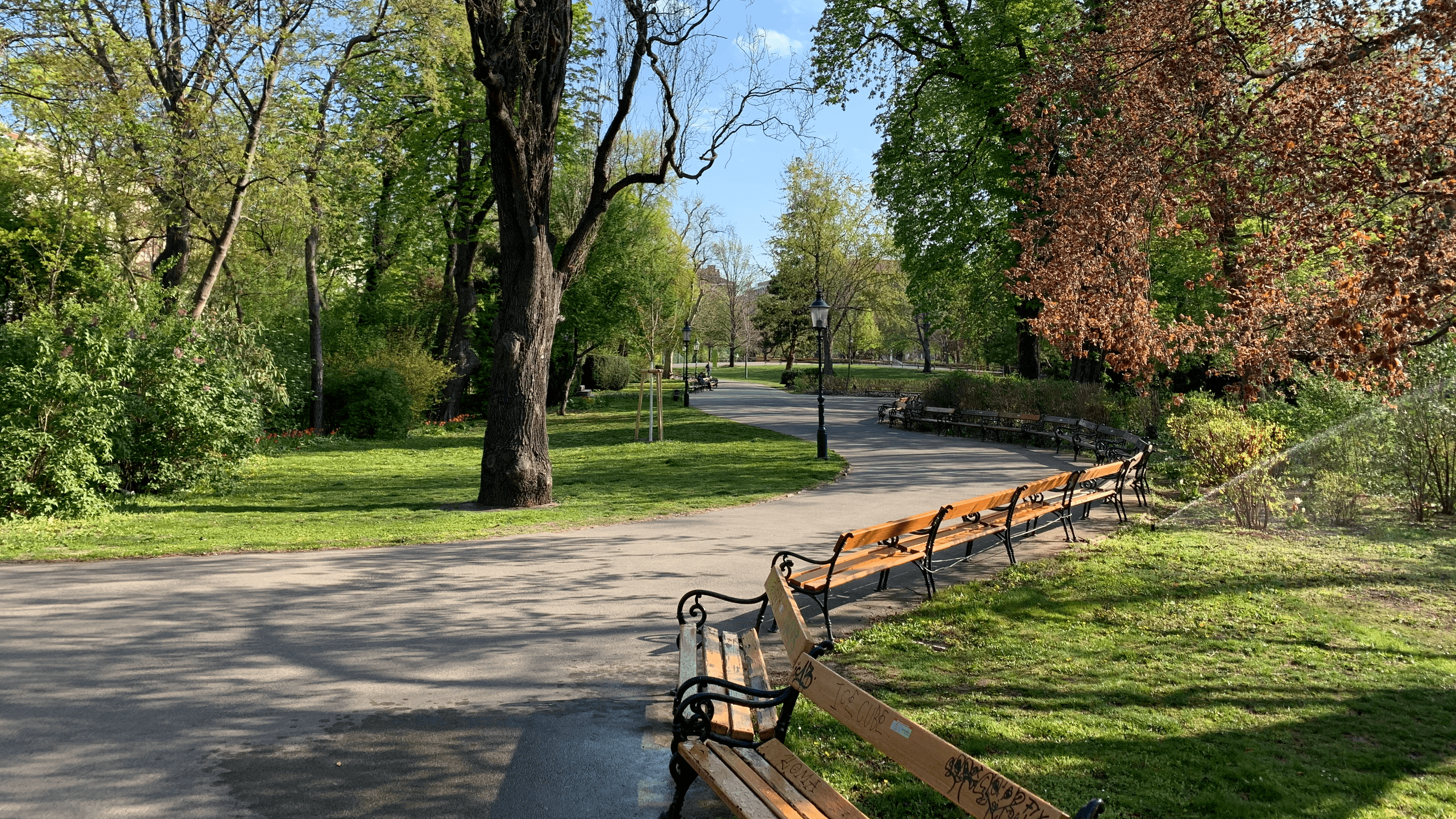 Sylvia Sienicki Projektmanagerin +43 1 4000 87004 sienicki@viennafilmcommission.at